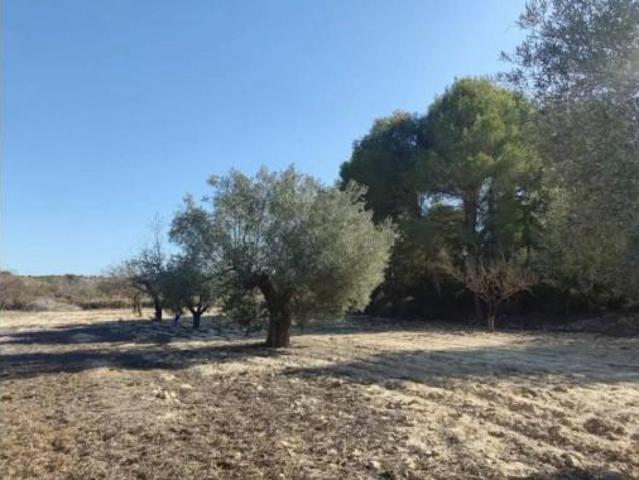 Casa rústica Venta Orihuela, Orihuela Pedanías