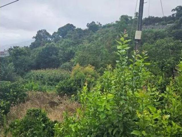 Casa rústica Venta Los Realejos, Realejo Alto