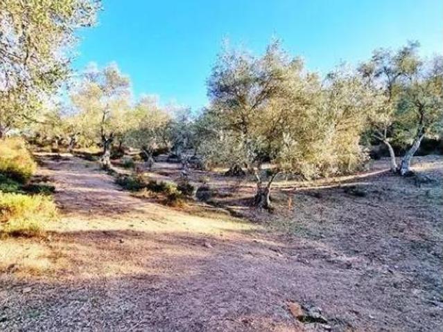 Casa rústica Venta La Nava, La Nava