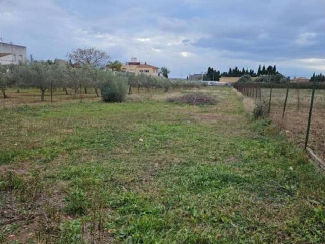 Casa rústica Venta L'Aldea, L'Aldea