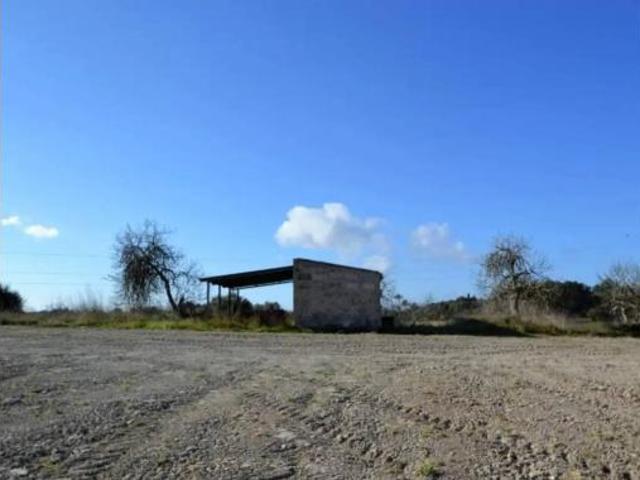 Casa rústica Venta Llubí, Llubí