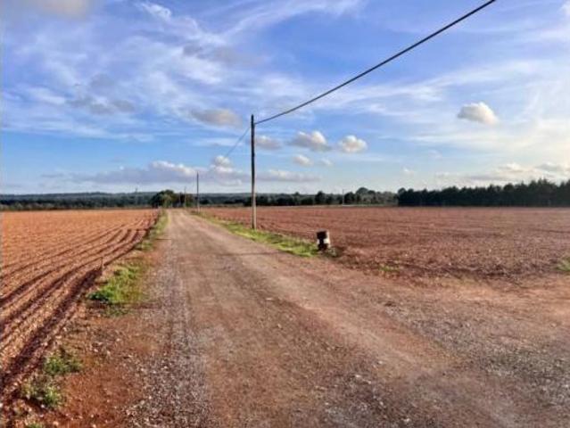 Casa rústica Venta Llubí, Llubí