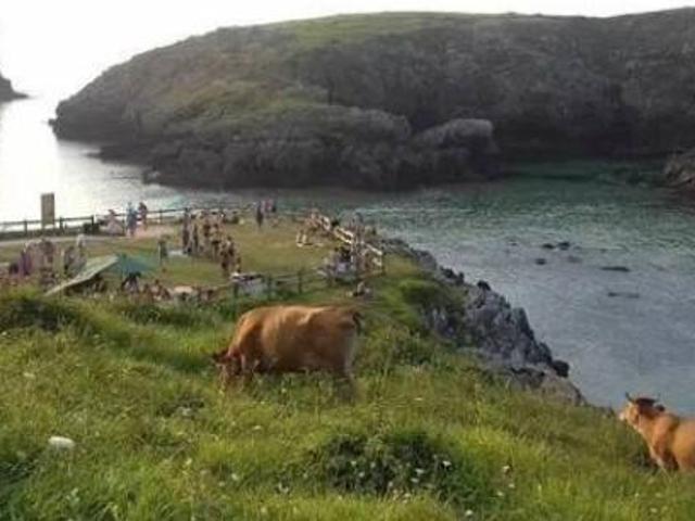 Casa rústica Venta Llanes, Llanes