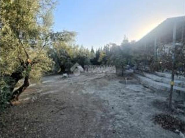 Casa rústica Venta Montilla, Montilla