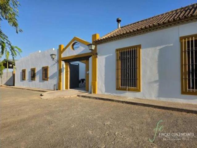 Casa rústica Venta Morón de La Frontera, Morón de la Frontera