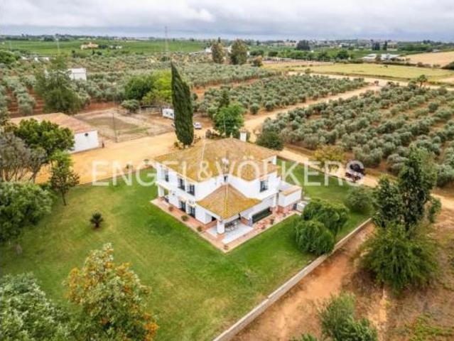 Casa rústica Venta Mairena del Alcor, Mairena del Alcor
