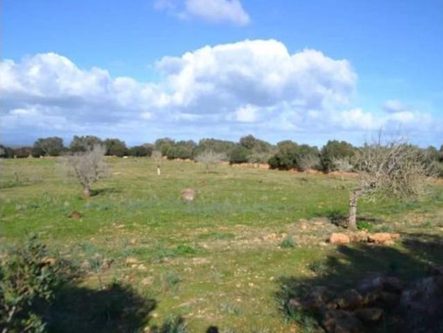 Casa rústica Venta Manacor, Manacor