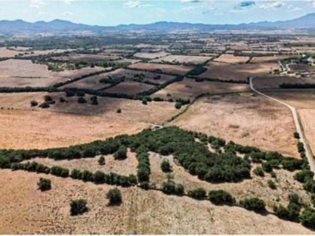 Casa rústica Venta Manacor, Manacor