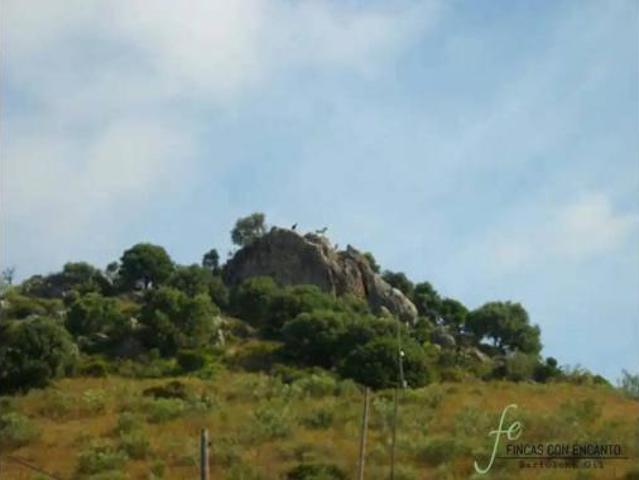 Casa rústica Venta Marchena, Marchena