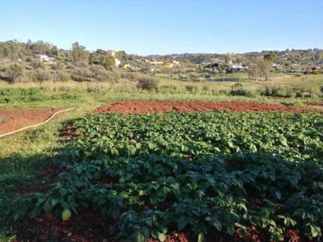 Casa rústica Venta Mijas, Valtocado La Alquería La Atalaya