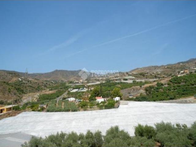 Casa rústica Venta Salobreña, La Caleta Guardia
