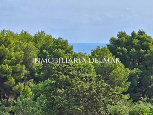 Casa rústica Venta Santa Eulària des Riu, Es Figueral