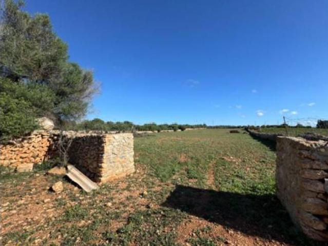 Chalet Venta Santa Margalida, Santa Margalida