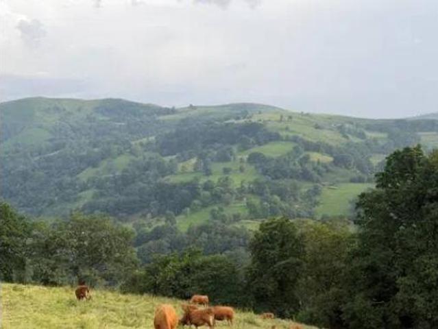 Casa rústica Venta Selaya, Selaya