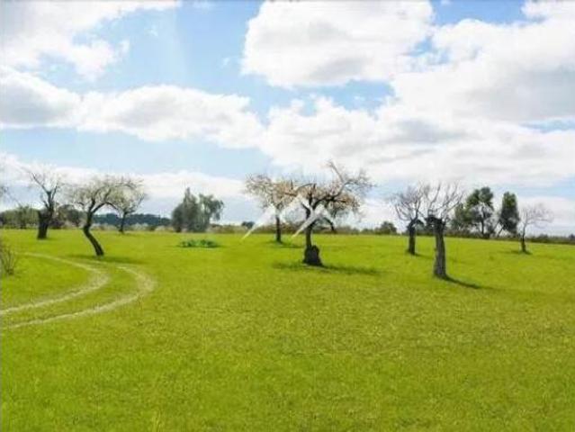 Casa rústica Venta Selva, Selva