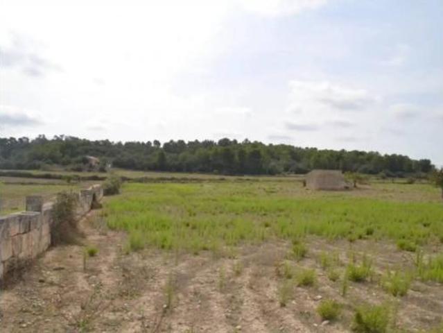 Casa rústica Venta Sineu, Sineu