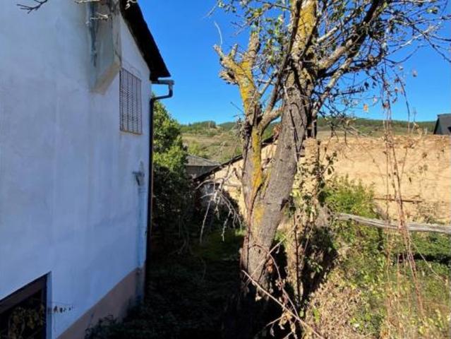 Casa rústica Venta Ponferrada, Flores del Sil La Martina