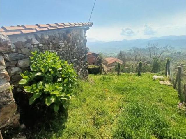 Casa rústica Venta Parres, Bodes