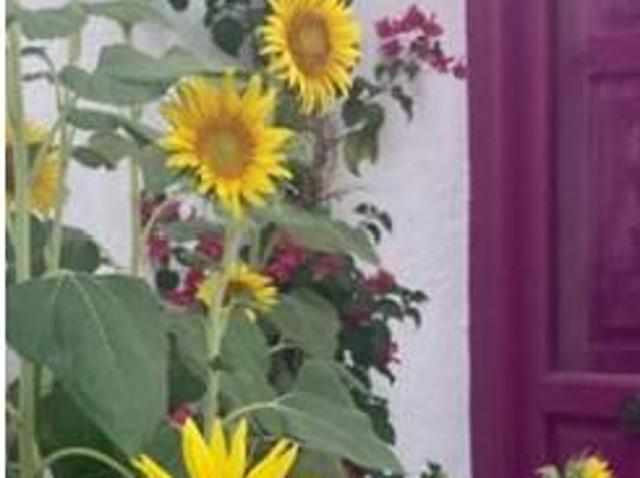 Casa rústica Venta Pegalajar, Pegalajar