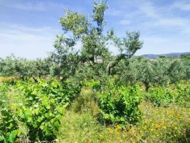 Casa rústica Venta Plasencia, Plasencia