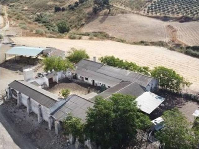 Casa rústica Venta Ronda, Ronda