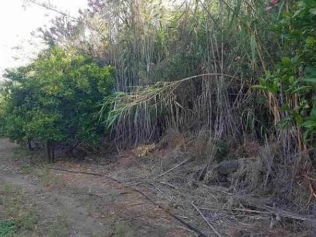 Casa rústica Venta Tolox, Tolox
