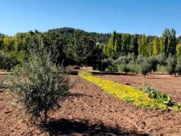 Casa rústica Venta Torre del Compte, Torre del Compte