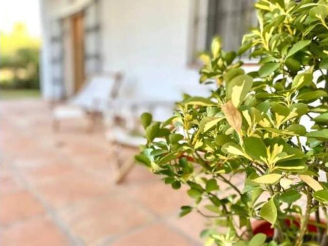 Casa rústica Venta Tarifa, Tarifa