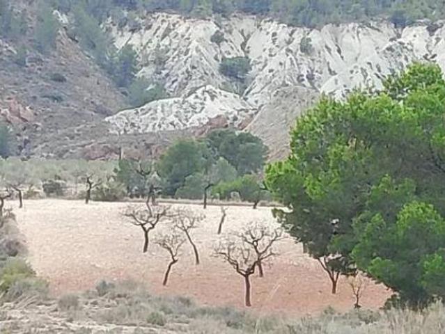 Casa rústica Venta Tibi, Tibi