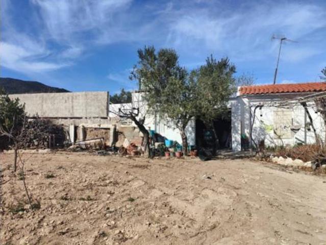 Casa rústica Venta Tibi, Torrosella