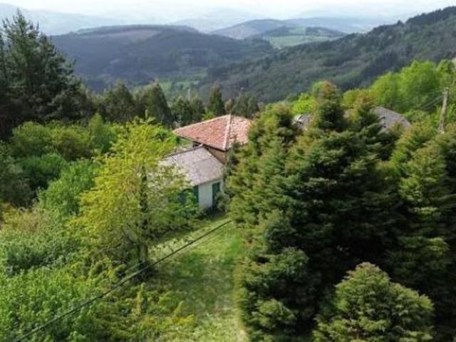 Casa rústica Venta Tineo, Tineo