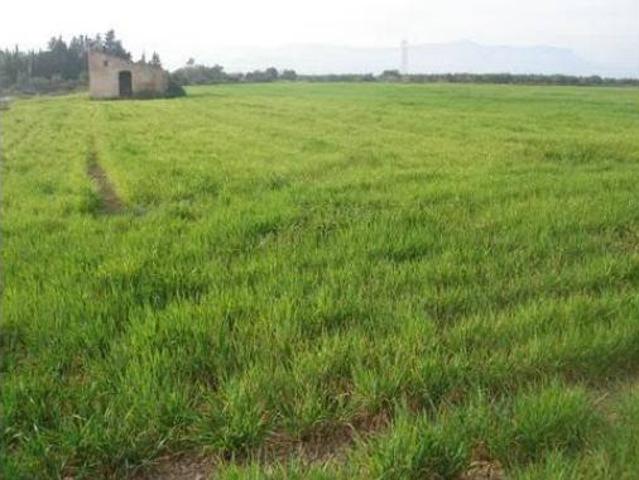 Casa rústica Venta Ulldecona, Ulldecona