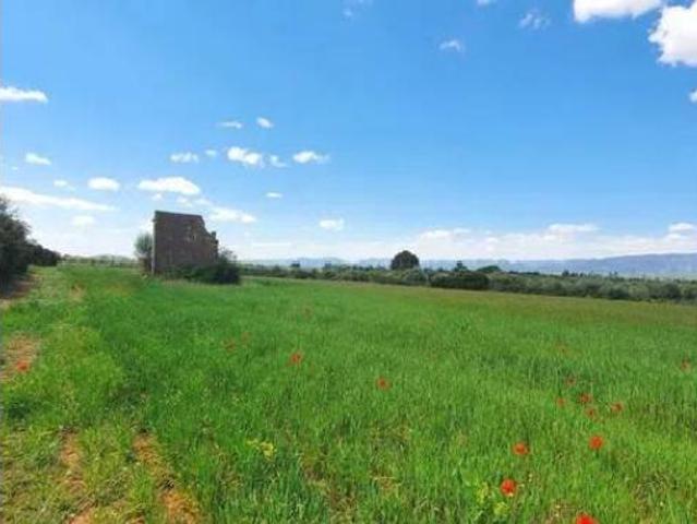 Casa rústica Venta Ulldecona, Ulldecona
