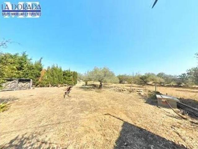 Casa rústica Venta Vandellòs i l'Hospitalet de l'Infant, Vandellòs