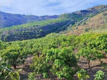 Casa rústica Venta Vélez Málaga, Área de Triana Cabrillas Trapiche
