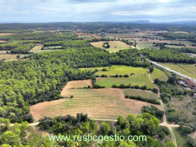 Casa rústica Venta Vilaür, El Pedró