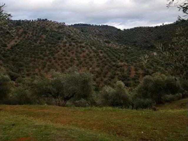 Casa rústica Venta Villanueva de Córdoba, Villanueva de Córdoba