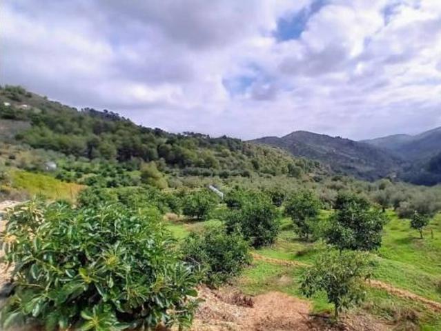Casa rústica Venta Yunquera, Yunquera