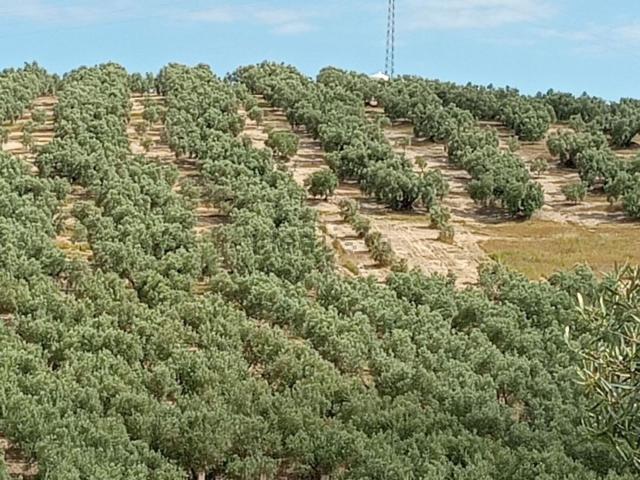 Casa rústica, Villanueva del Trabuco