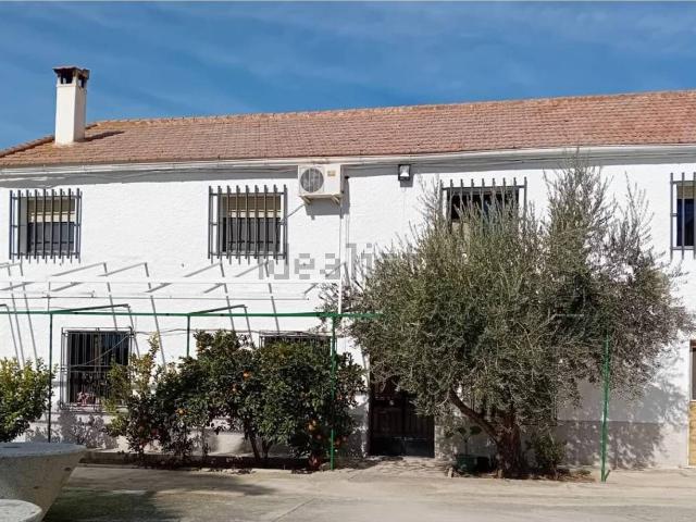 Casa rústica, Villanueva Mesia