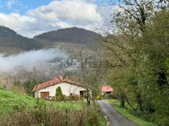 Casa rústica, Zegama
