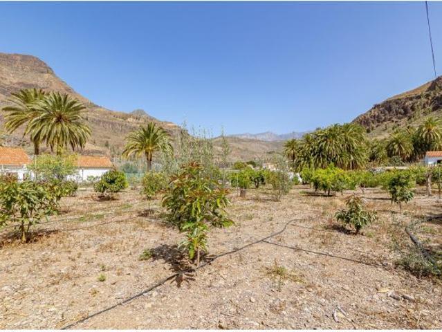 Casa Rural con Apartamento para Invitados con 11horas de agua Incluidas en Fataga