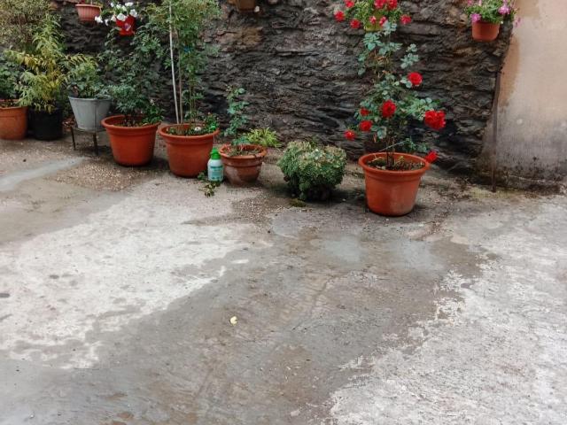 CASA RURAL, DE PIEDRA, LA OMAÑUELA RIELLO LÉON