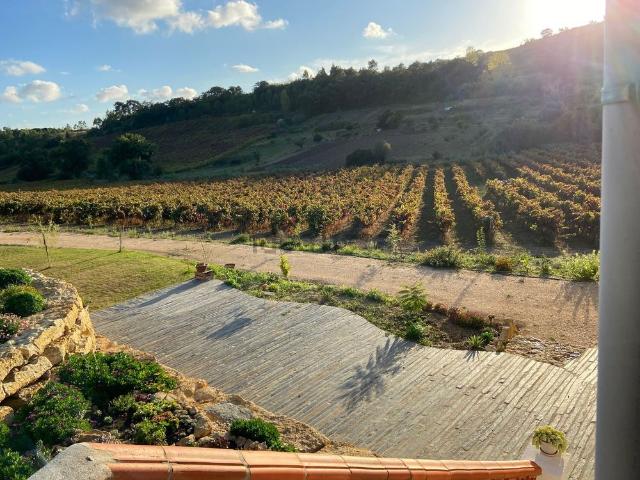 Casa rural em Carvoeira e Carmões
