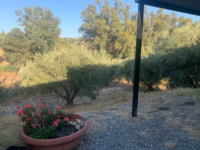 Casa Rural en Alquiler en Alhaurín el Grande, Málaga
