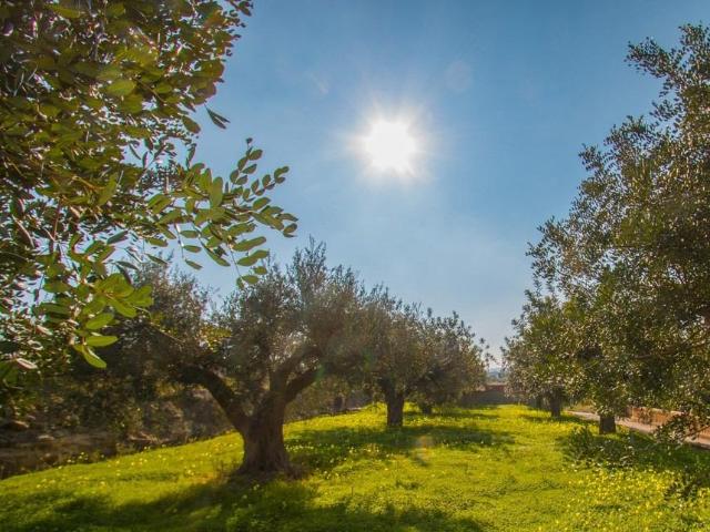 Casa rural en Teulada con piscina privada