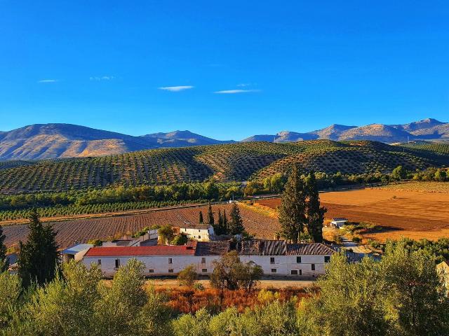 Casa rural en venta, Albolote, Granada