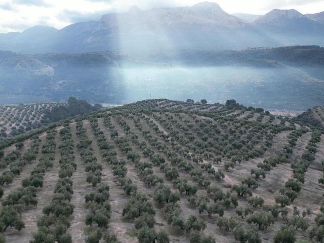 Casa rural en venta, Barcinas, Granada