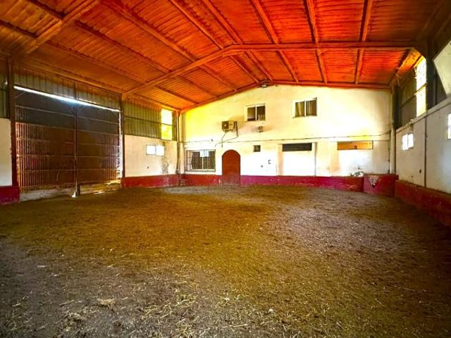 Casa Rural en Venta en Madridejos, Toledo