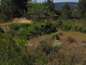 Casa rural en venta en calle A Gandesa, Batea, de 40 m² 1 habitación por 12.000